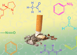 NicoZero bloqueia a sensibilidade dos receptores para a nicotina